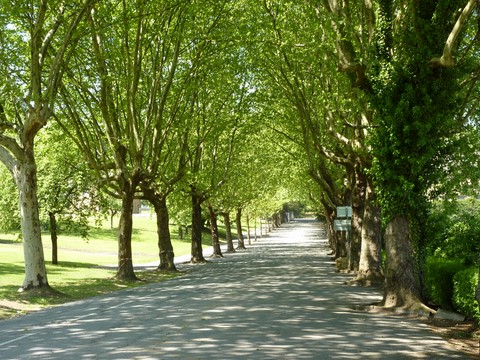 Le Parc de l'Orangerie à Hayange